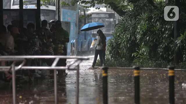 Masuki Musim Hujan, Indonesia Punya 3 Faktor Pendorong Munculnya Demam Berdarah Dengue