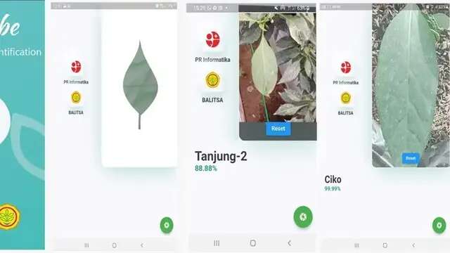 Ide-Cabe, Aplikasi Pintar Identifikasi Varietas Cabai Tanpa Koneksi Internet
