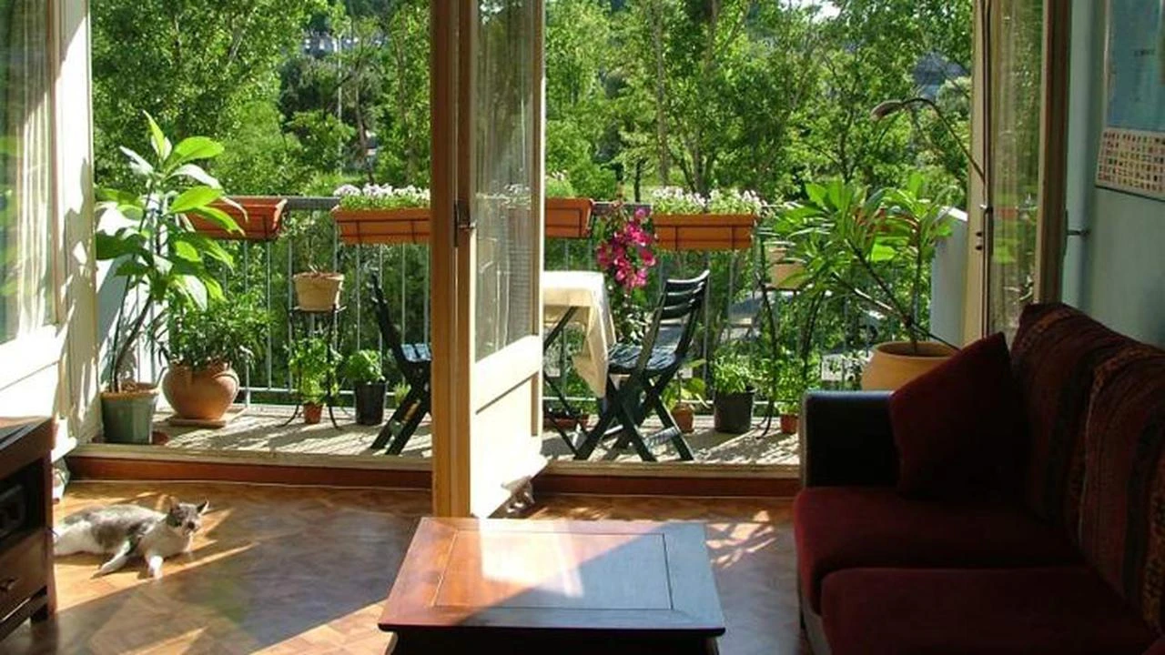 8 Tips Berkebun di Apartemen Tanpa Halaman, Panen Sayur Sendiri Setiap Minggu