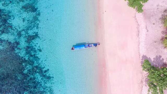 Mengenal Pink Beach, Salah Satu Pantai Tercantik di Indonesia