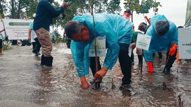 Aksi Penyelamatan 1.000 Hektare Lahan Mangrove Rusak di Konawe Utara