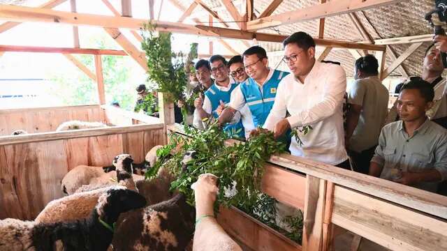 Kementan Bareng PLN Sulap Lahan Kritis jadi Tempat Pengembangan Biomassa