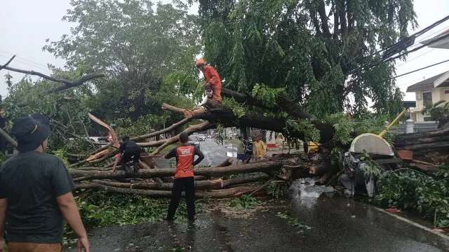 Waspada, BMKG Ingatkan Potensi Hujan Deras dan Angin Kencang di Bandar Lampung