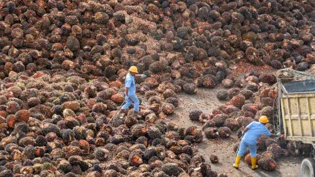 Ciliandra Perkasa Akuisisi 91,17 Persen Saham ANJT