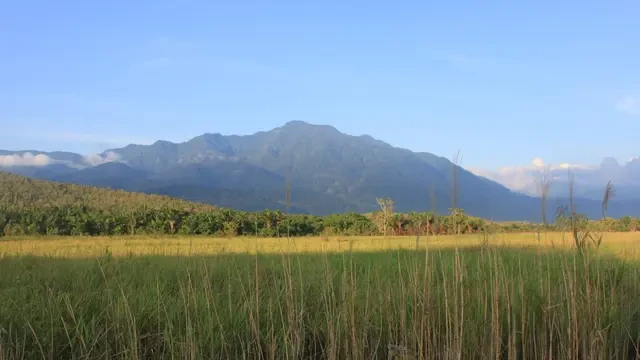 6 Fakta Menarik Pegunungan Cycloop di Papua yang Dianggap Keramat
