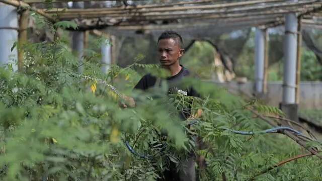 Ubah Lahan Kritis jadi Produktif, PLN Bangun Ekosistem Biomassa