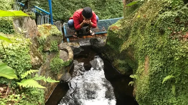 Mengenal Arboretum Titik Nol Sungai Brantas dan Keanekaragaman Hayatinya