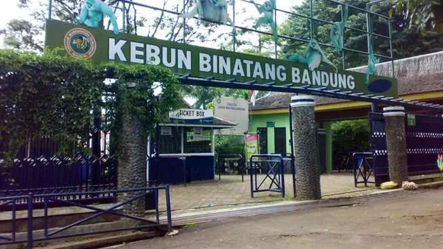 Bus Pariwisata Parkir di Bandung Zoo Jelang Akhir Tahun Diminta Bayar Rp150 Ribu