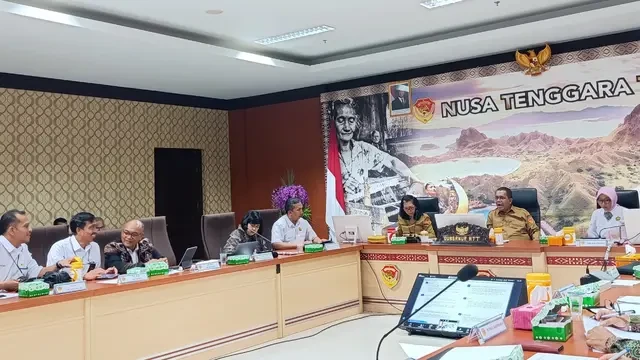 Walhi Minta Pemerintah Hentikan Proyek Geothermal, Ini Respons Gubernur NTT