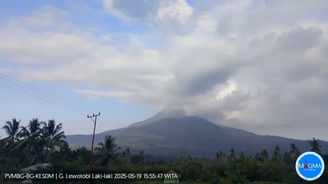 Gemuruh Tak Terdengar Lagi, Gunung Lewotobi Laki-Laki Mereda ke Level Siaga