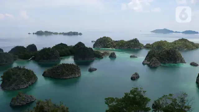 Kondisi di Pulau Gag Tak Seperti yang Viral di Medsos, Ini Buktinya
