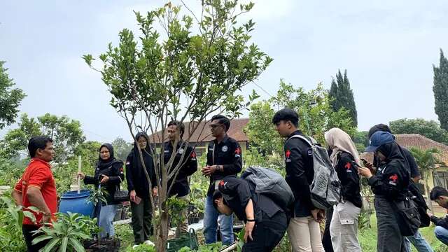 Kembalikan Kejayaan Jeruk Garut, Ini Upaya yang Dilakukan Mahasiswa Uniga