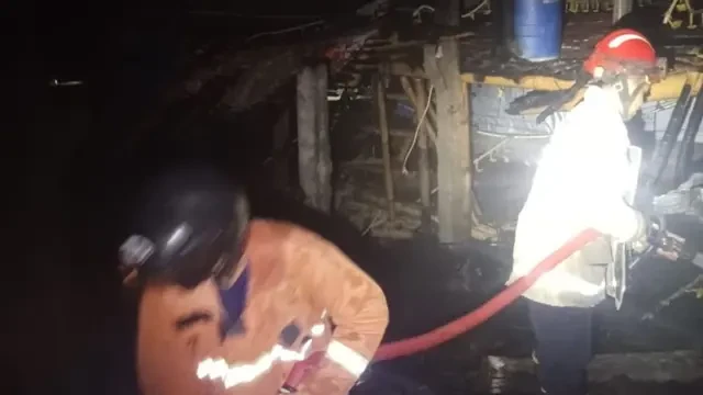 Kronologi Hampir 5.000 Ayam di Bantul Terpanggang, Damkar Turun Tangan