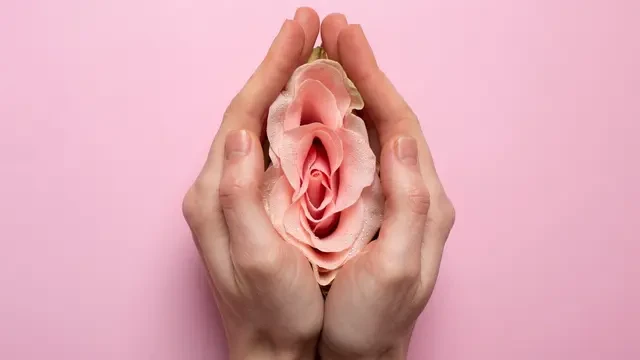 9 Tanda Ovulasi Berakhir, Fase Penting dalam Siklus Menstruasi