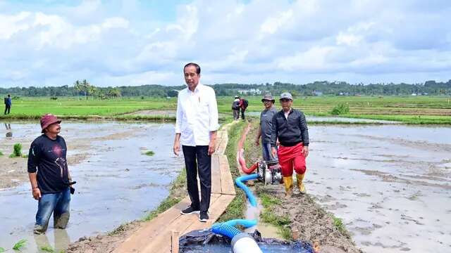 Jokowi Buka-bukaan soal Swasembada Pangan, Mengapa Sulit Terwujud?