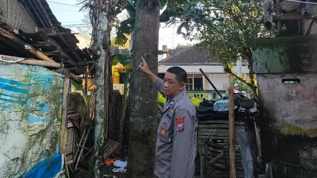 Cinta Tak Direstui, Pemuda di Jember Gantung Diri di Pohon Mangga