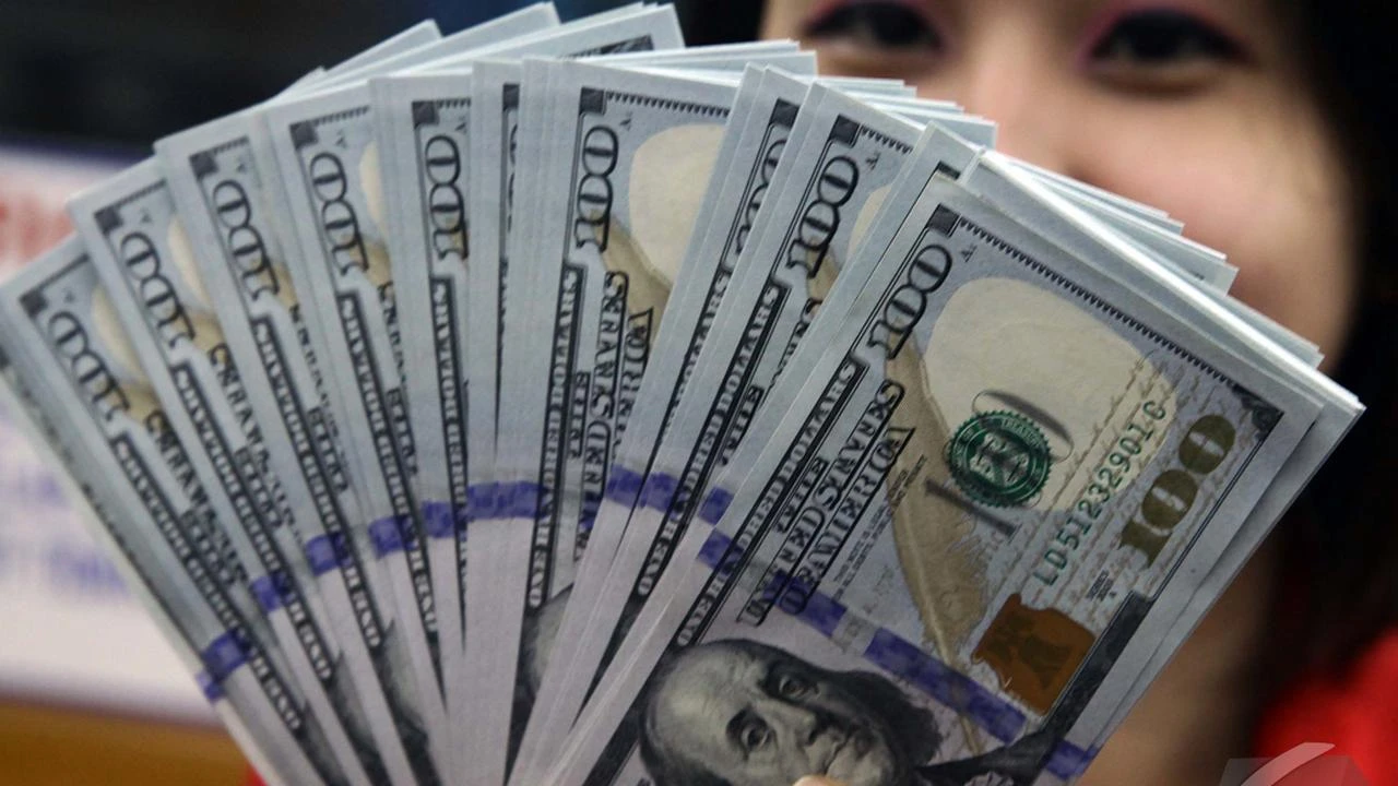 Simpanan Valas di Bank Tumbuh 10,87%, Deposito Pendorong Utama