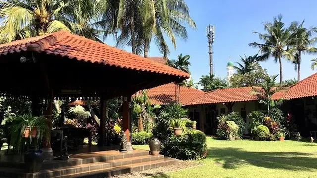 Museum di Tengah Kebun, Surga Tersembunyi bagi Pencinta Koleksi Unik