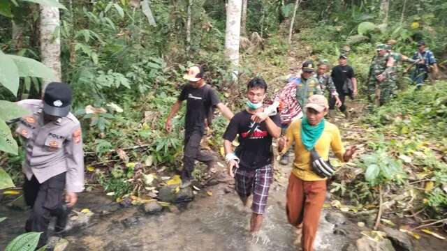 Petani Kopi Asal Purworejo Tewas Dimangsa Harimau di Lampung Barat