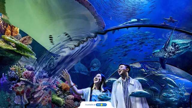 Daya Tarik Sea World Ancol, Destinasi Berlibur Menarik untuk Keluarga