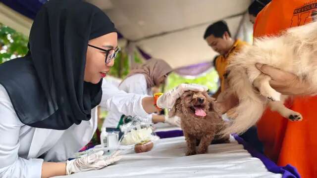 Hari Rabies Sedunia, 345 Hewan Peliharaan di Lampung Disuntik Vaksin Gratis