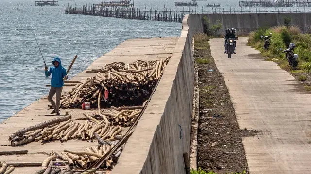 Teknologi Dibalik Proyek Tanggul Laut di Jakarta Utara, Adopsi Sistem dari Jepang