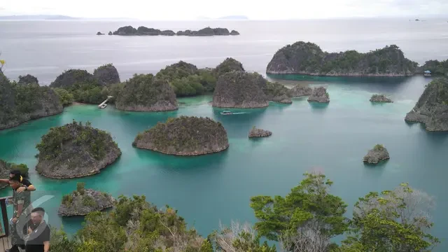 Kemenhub Mau Bangun Bandara Atas Air di Raja Ampat, Pesawat Ini Bisa Mendarat