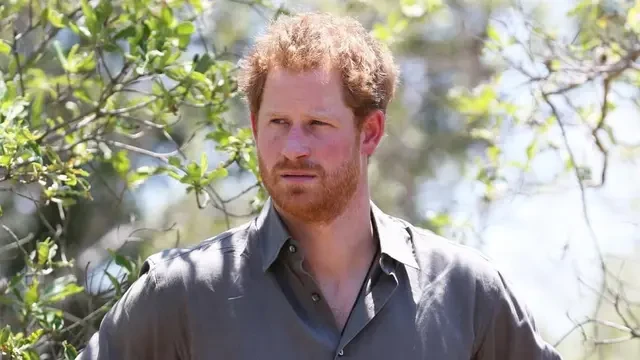Bangsawan Eropa Prihatin Kondisi Pangeran Harry: Semua Orang Merundungnya