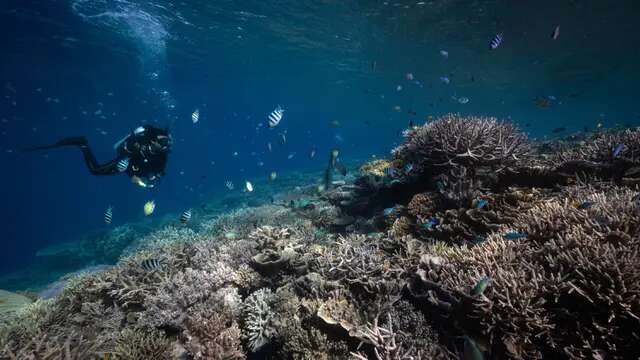 Terkaya di Dunia, Potensi Ekonomi Laut Arafura dan Timor Sentuh Rp 118,3 Triliun