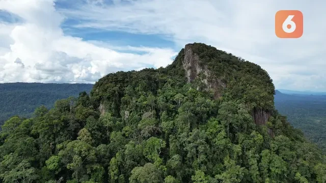 Punya Hutan Luas, Mahakam Ulu dan YKAN Dorong Pembangunan Berkelanjutan