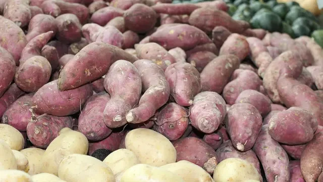 6 Manfaat Ubi Jalar bagi Kesehatan, Bisa Menghambat Pertumbuhan 3 Sel Kanker