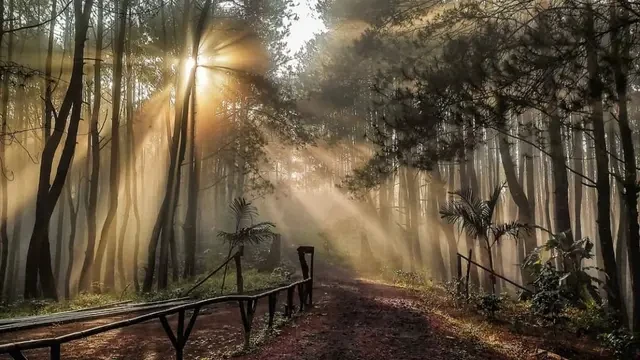 Pesona Karacak Valley, Destinasi Liburan Cantik di Garut