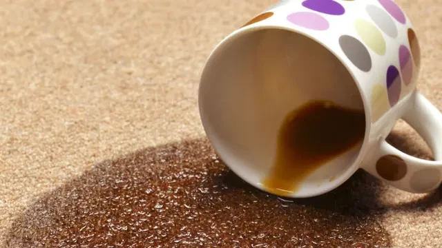 Karpet dan Sofa Kena Noda Kopi? Ini Cara Membersihkannya Tanpa Ribet