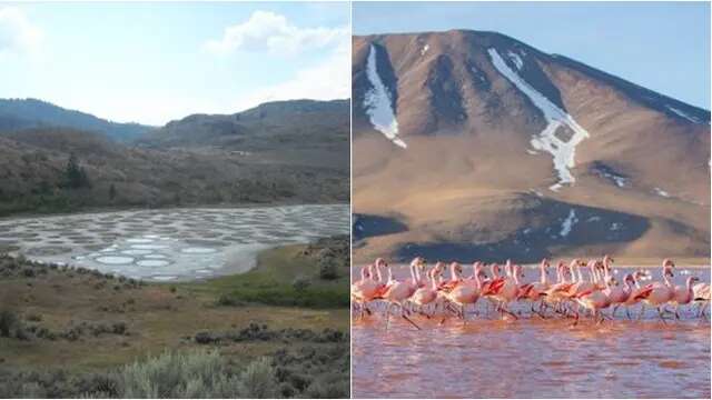 5 Danau Unik di Dunia dengan Visual Tak Biasa, Ada Bentuk Mozaik di Musim Panas