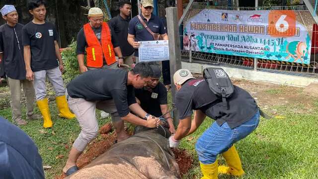 PAMA BPOP Sebar Hewan Kurban untuk Warga Balikpapan