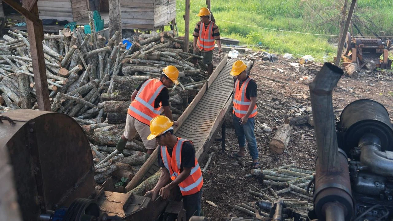 Bioenergi Bisa Ciptakan 150 Ribu Lapangan Kerja Baru