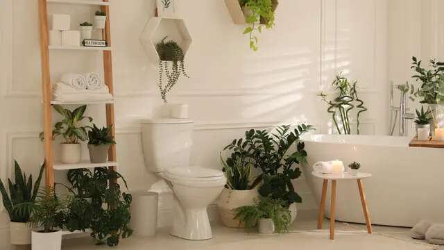 Pengharum Toilet Ampuh Usir Bau Tak Sedap yang Mengganggu, Ini Tips Memilih dan DIY-nya!