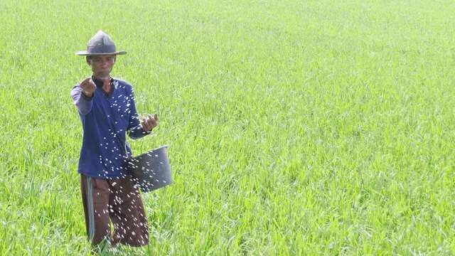 Indonesia Butuh 3 Juta Ha Sawah Baru untuk Swasembada Pangan