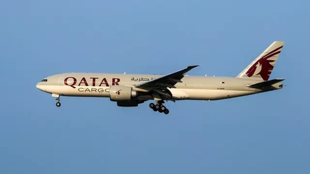 Qatar Airways Digugat Anak Penumpang yang Tewas Tersedak Usai Disuruh Makan Daging