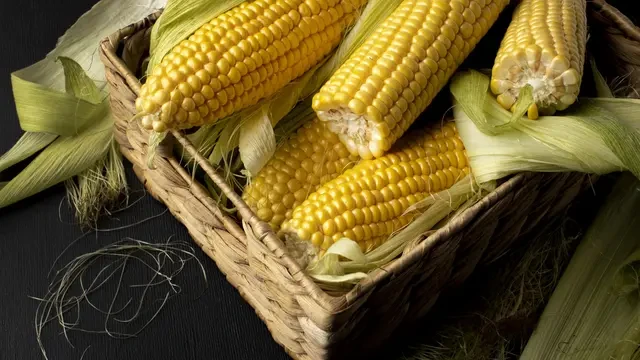 Cara Simpan Jagung agar Tidak Cepat Busuk