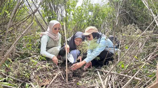 Pulihkan Ekosistem, 1.400 Bibit Tumbuhan Asli Semeru Ditanam di Lahan Kritis Ranupani