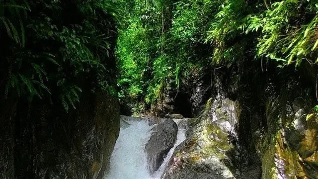 Curug Leuwi Hejo, Permata Hijau di Kaki Gunung Bogor Menyegarkan Jiwa dan Raga