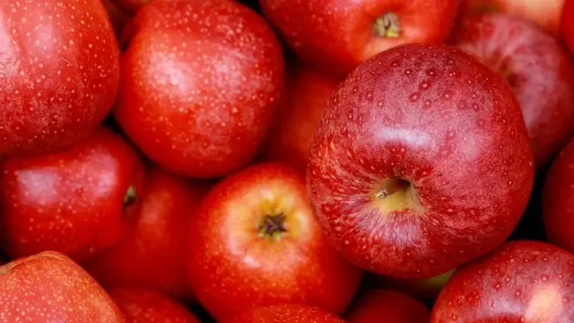Terbangun Tengah Malam dengan Kondisi Lapar, Ini 8 Makanan yang Bisa Dikonsumsi Tanpa Khaw...