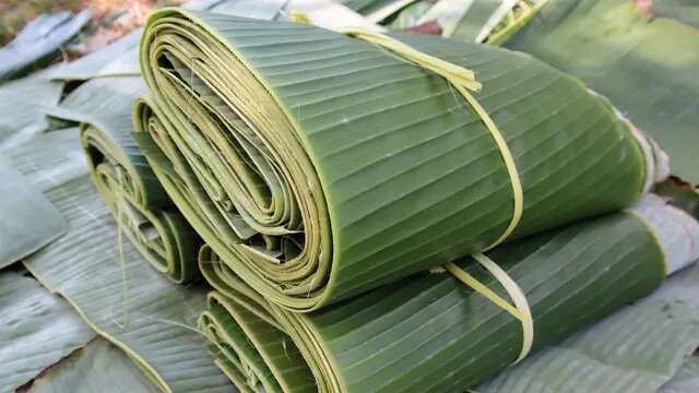 Cara Tepat Menyimpan Daun Pisang Agar Tetap Segar dan Awet