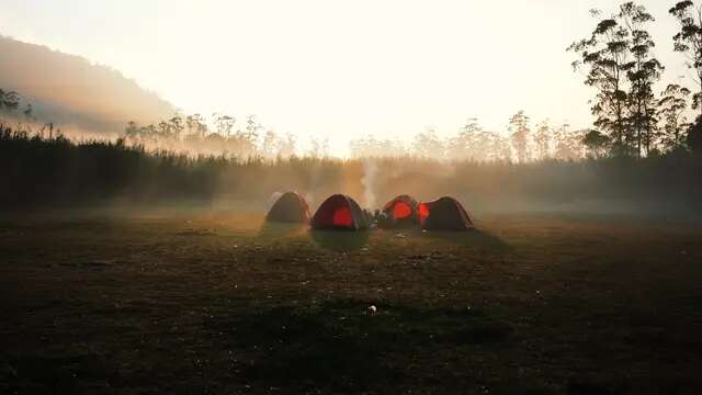 Akhir Pekan Berlibur ke Ranca Upas Spot Camp Bandung