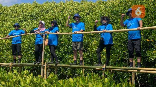 Bantu Tekan Emisi Karbon, KEHATI dan Sankyu Tanam 3.000 Mangrove di Makassar