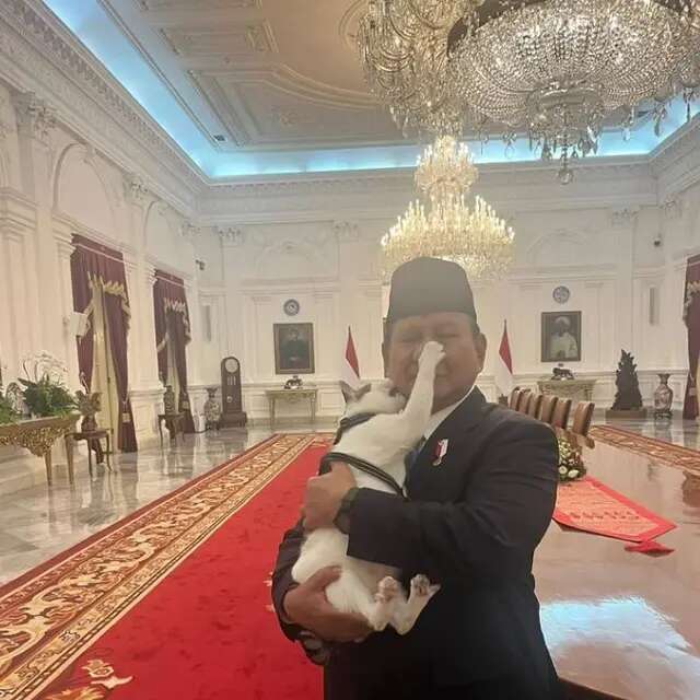 Prabowo Unggah Foto Gendong Bobby Kertanegara di Istana Negara, Tangannya Nyaris Cakar Hid...