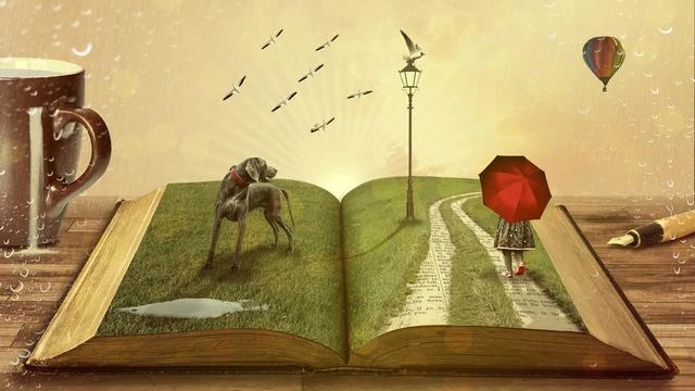 Rekomendasi 4 Novel tentang Disabilitas yang Cocok untuk Mengisi Waktu Luang