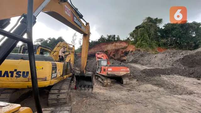 Nasib Orang Utan Kalimantan, Regulasi Konservasi di Tambang Ternyata Belum Ada