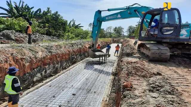 Dukung Swasembada Pangan, Eks Lahan Likuifaksi Sulteng Diusulkan untuk Pertanian